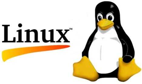 Why You Should Learn Linux | Programmer Preferred & Best OS