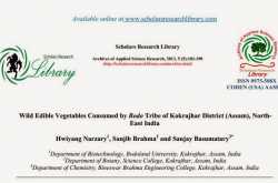 wild edible vegetables consumed by bodo tribe of kokrajhar district of assam, north-east india