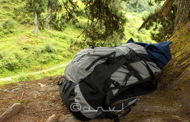 Wildcraft Saavan D 45L Rucksack Review