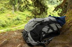 Wildcraft Saavan D 45L Rucksack Review