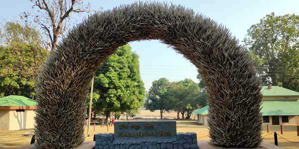 Wildlife Jungle Safari At Kanha National Park - Laid Back Traveller