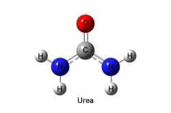will low carb high fat diet increase blood urea levels and cause kidney failure