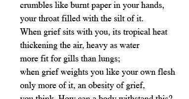 Will You Love Me Again?