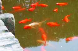 Will be back soon: Gone Lookin’