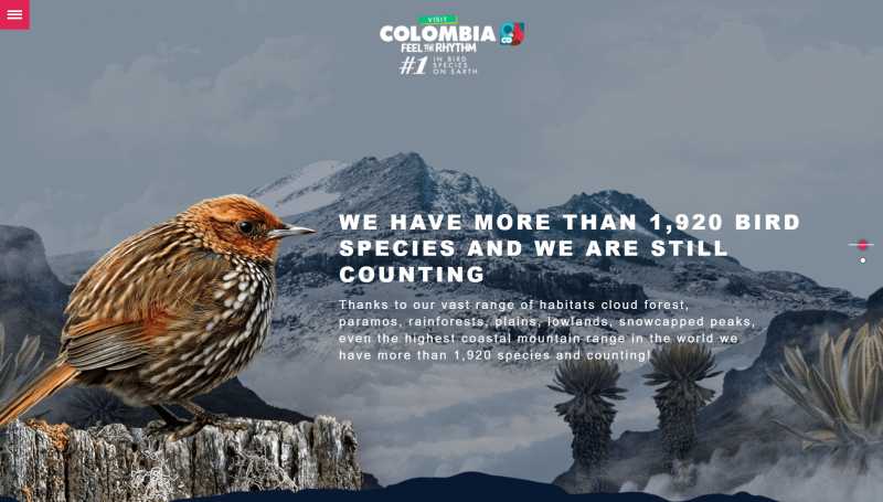 Win A Trip To Colombia And Discover Its Beautiful Birds! - Exotic Gringo