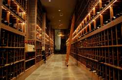 Wine Business in India - Opportunity or Dilemma?