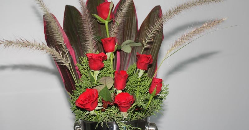 Winter Reds And Whites At Home.