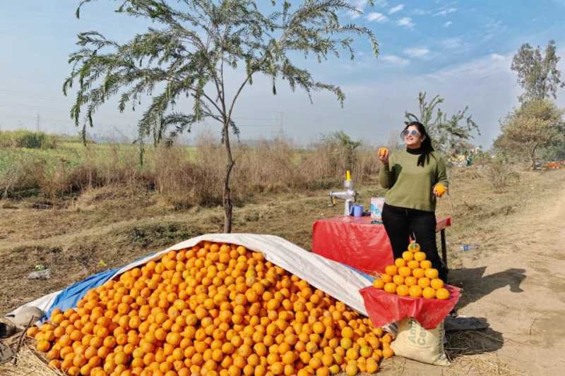 Winter Road Trip From Delhi To Kasauli Hills, Shimla, Dalhousie And Amritsar