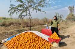 Winter Road Trip From Delhi To Kasauli Hills, Shimla, Dalhousie And Amritsar