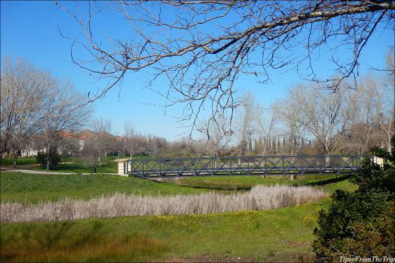 Winter Walk: Checking Out Mountain House Creek Trail