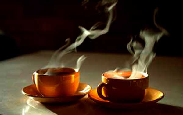 Winters A Miss - This Year