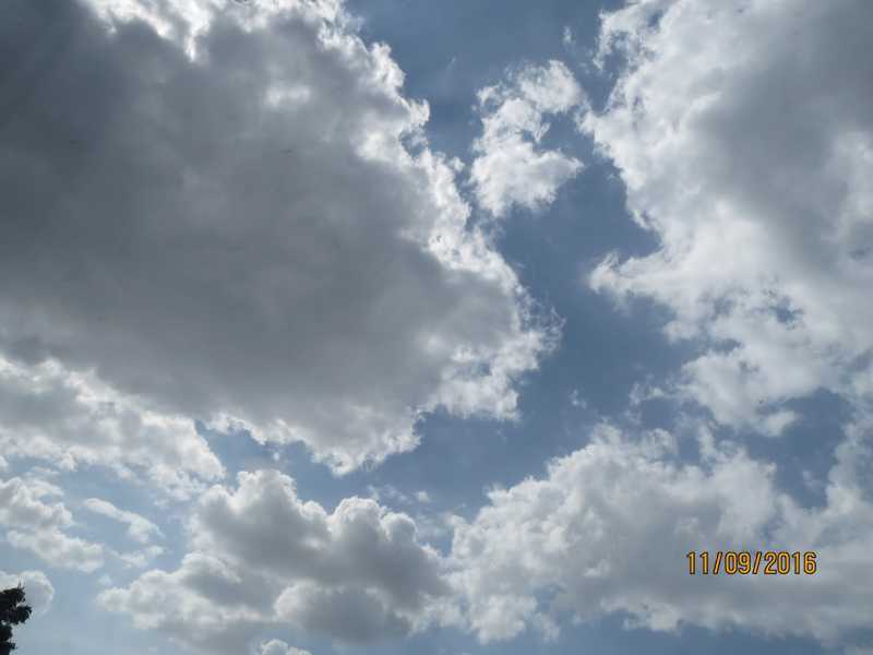 With Love, From Gujarat! (#4)