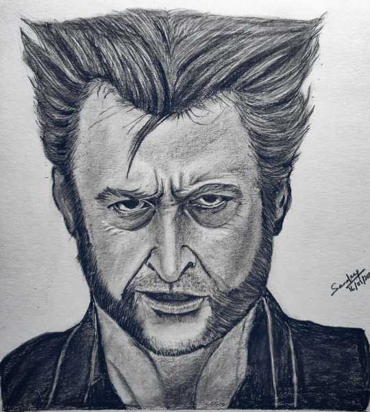 Wolverine Sketch