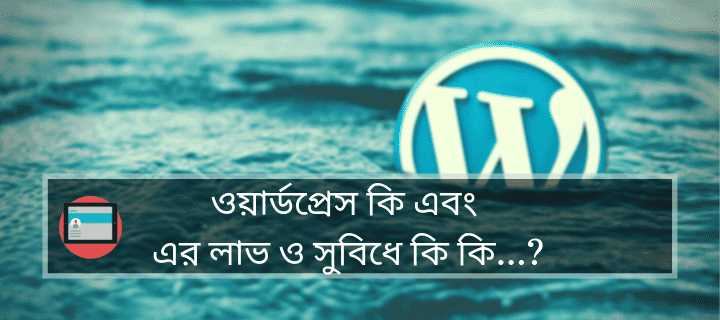 WordPress কি ? ওয়ার্ডপ্রেস এর কাজ ও লাভ (About WordPress)