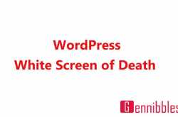 WordPress White Screen of Death Issue [Resolved]