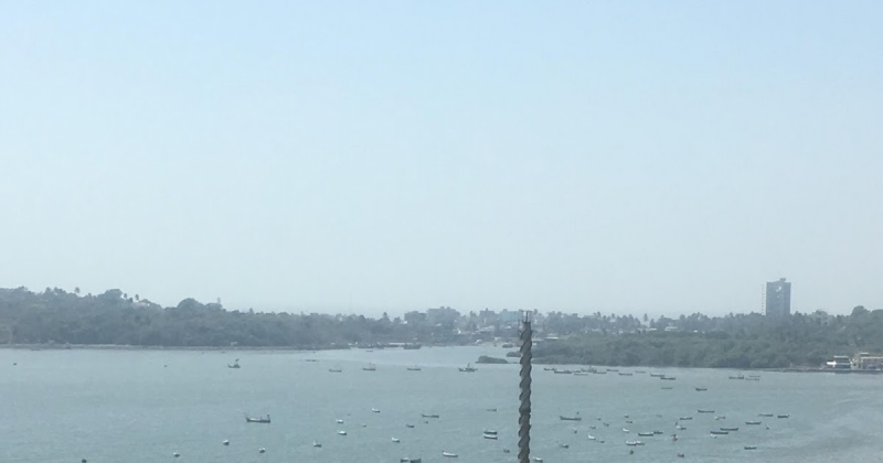 Wordless Wednesday #12: Caption This Picture