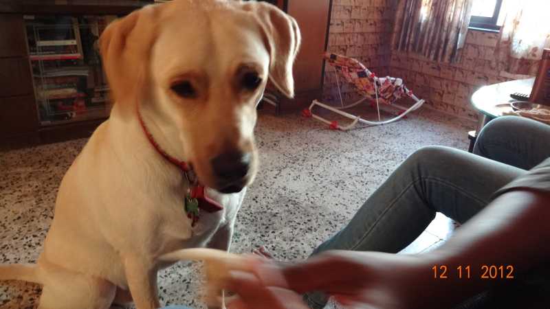 Wordless(?) Wednesday