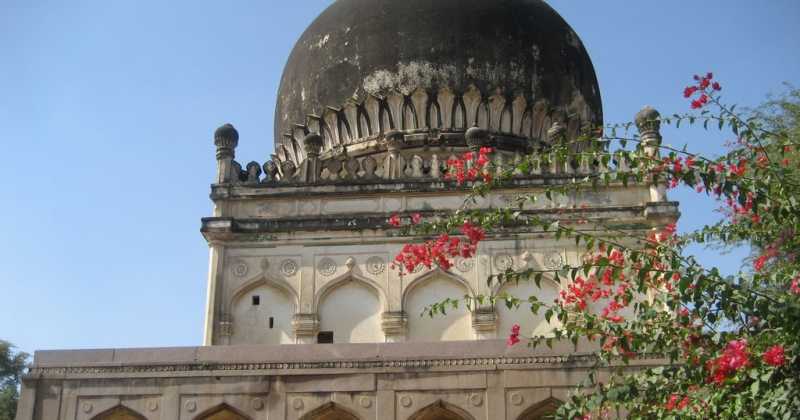 Wordless Wednesday-17