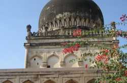 Wordless Wednesday-17