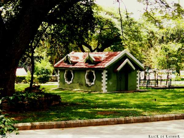 Wordless Wednesday #2