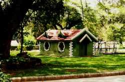 Wordless Wednesday #2