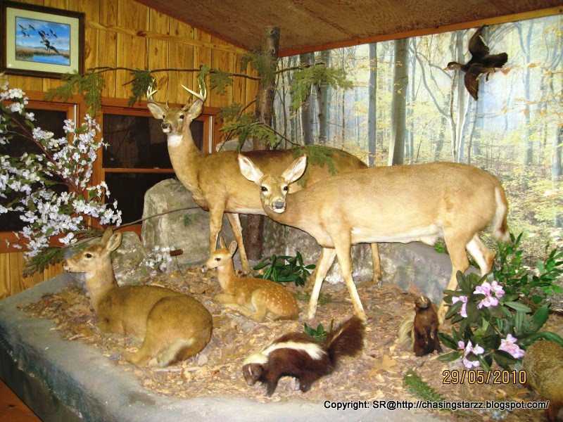 Wordless Wednesday 2 - The Future? Go Green People!