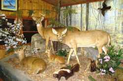 Wordless Wednesday 2 - The Future? Go Green People!