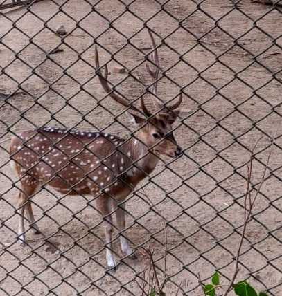 Wordless Wednesday - 349