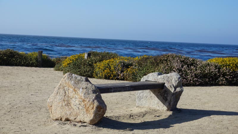 Wordless Wednesday -35