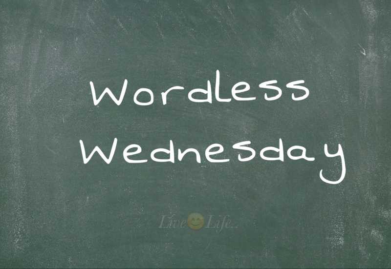 Wordless Wednesday-39