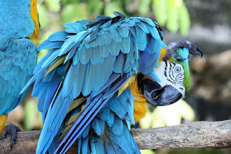 Wordless Wednesday - 514 #CaptionThis - I Share