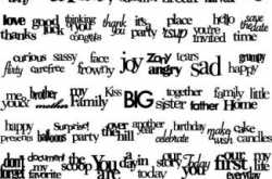 Words: Understood & Misunderstood