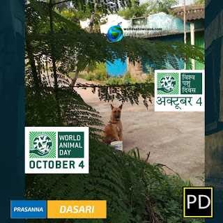 World Animal Day - Protect The Stray Dogs