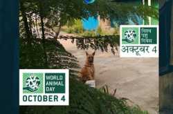 World Animal Day - Protect The Stray Dogs