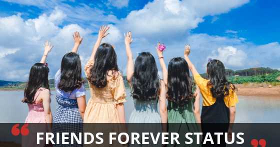 World Best Friends Forever Status For Your Loving Besties | Status For Friends Forever