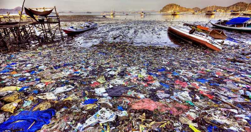 World Environment Day - Little Changes That We Can Make 