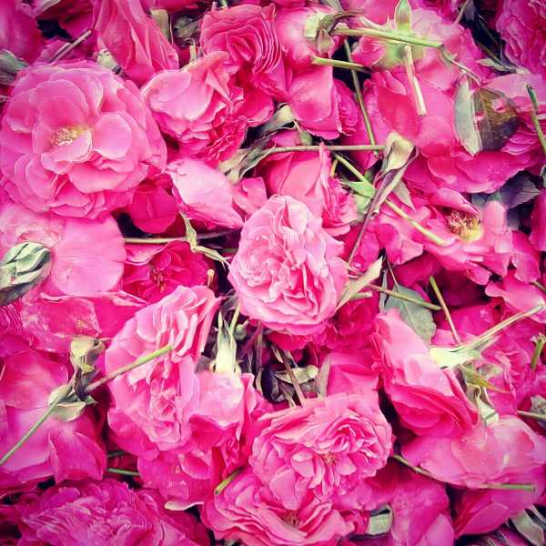 World Photography Day 2016 