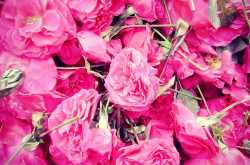 World Photography Day 2016 