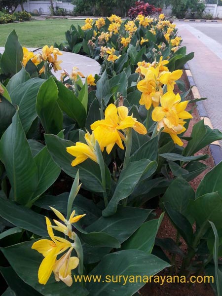 World Photography Day-Celebrated-19August2016