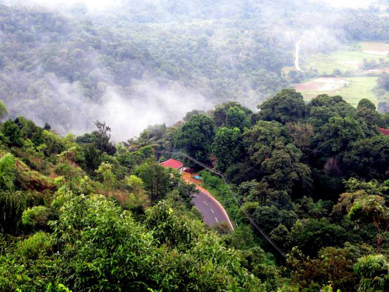 World Tourism Day Post - Coorg Travelogue ( Photos Speaking The Words)