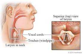 World Voice Day 2019