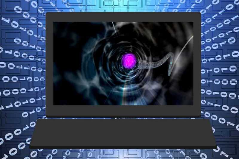 Worms Hindi à¤®à¥à¤! Internet Worms à¤à¥à¤¯à¤¾ à¤¹à¥à¤, à¤à¤° à¤µà¥ à¤à¤¤à¤¨à¥ à¤à¤¤à¤°à¤¨à¤¾à¤ à¤à¥à¤¯à¥à¤ à¤¹à¥à¤?