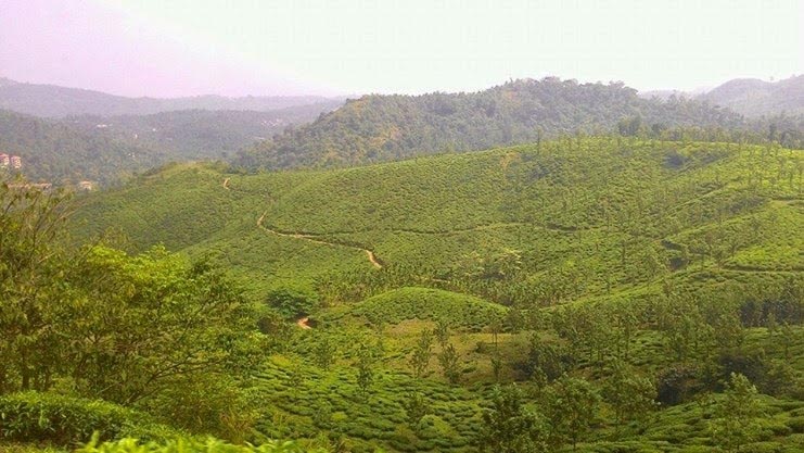 Wow In Waynad - Heavens Adobe