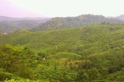 Wow in Waynad - heavens adobe