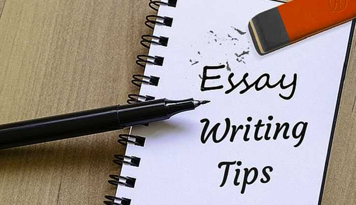 Write My Essay: 5 Things You Should Consider When Hiring Essay Writers Online | PcDrome.com