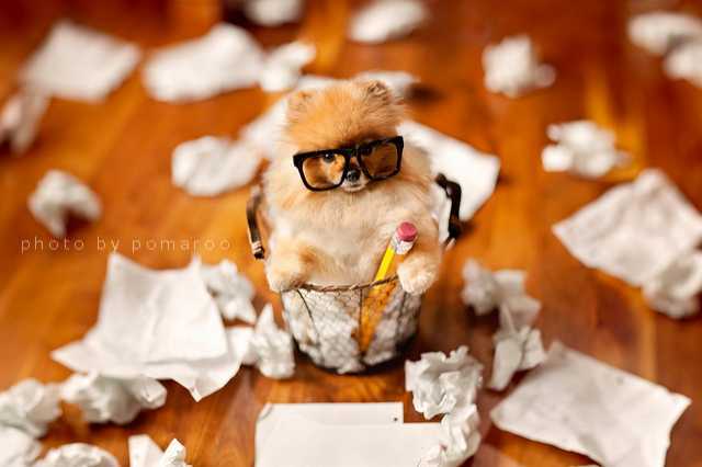 Writer’s Block, A False State Of Mind ….