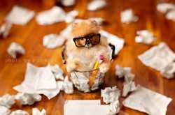 Writer’s Block, a false state of mind ….