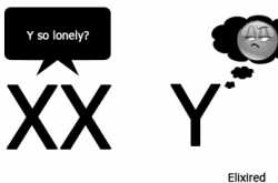Y-chromosome is depleting, will men become endangered or extinct in future? 