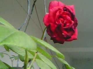 YEPPIEEEEE AM ON CLOUD 9