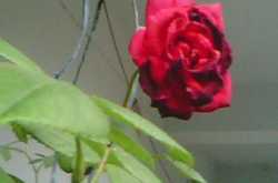 yeppieeeee am on cloud 9